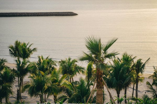 Quels sont les meilleurs spots pour une randonnée en montagne en Autriche?